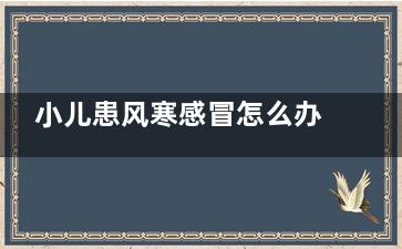 小儿患风寒感冒怎么办 食疗加按摩***俱佳(小儿感冒 风寒)